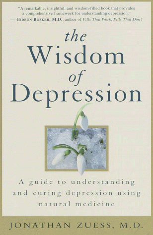 Stock image for The Wisdom of Depression: A Guide to Understanding and Curing Depression Using Natural Medicine for sale by Bookmans