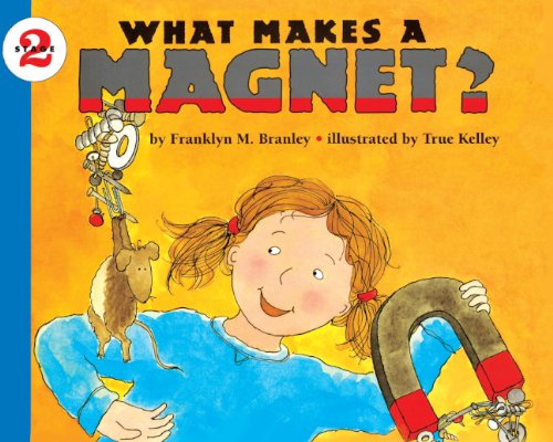 Imagen de archivo de What Makes a Magnet? a la venta por Better World Books: West