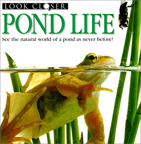 Pond Life (9780613085649) by Taylor, Barbara