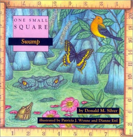 Swamp (One Small Square) (9780613088572) by Silver, Donald M.