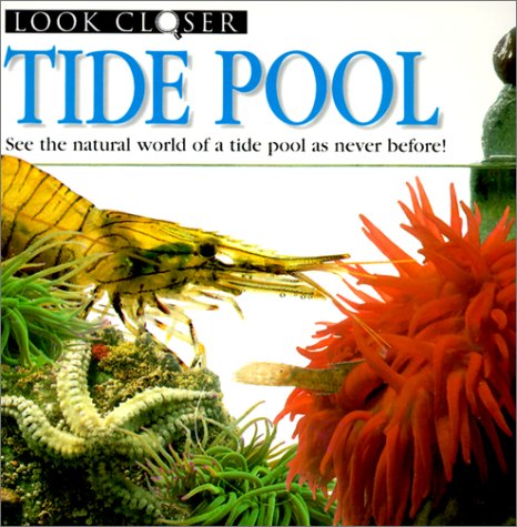 Tide Pool (9780613089074) by Gunzi, Christiane