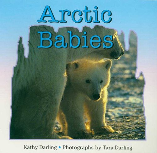 Arctic Babies (9780613124577) by Darling, Kathy