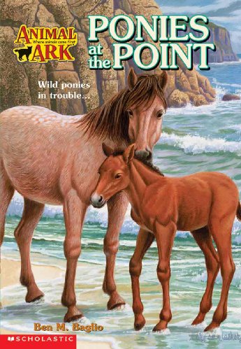 9780613169905: Ponies at the Point