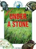 Under a Stone (9780613195362) by Jen Green