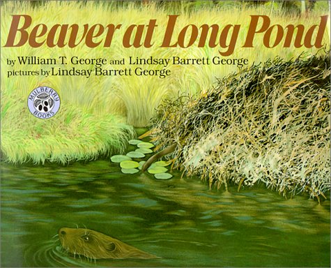 Beispielbild fr Beaver at Long Pond zum Verkauf von Better World Books