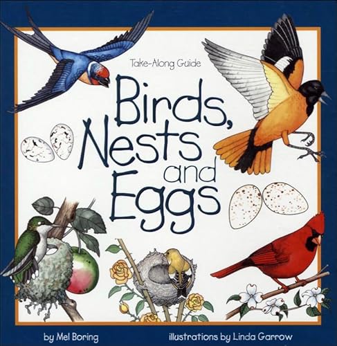 Birds, Nests, and Eggs (9780613243728) by Boring, Mel