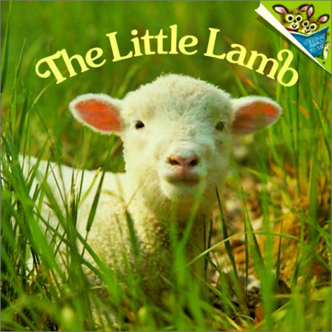 Little Lamb (9780613260268) by Dunn, Judy