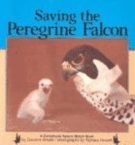 Saving the Peregrine Falcon (9780613280532) by Caroline Arnold
