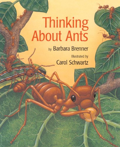 Thinking About Ants (Turtleback School & Library Binding Edition) (9780613286725) by Brenner, Barbara