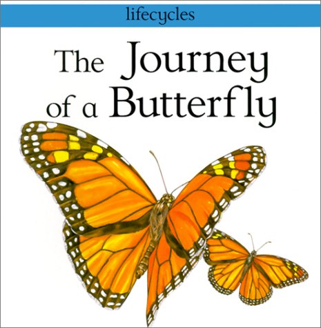 Journey of a Butterfly (9780613294560) by [???]