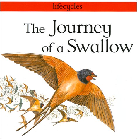 Journey of a Swallow (9780613294577) by Scrace, Carolyn