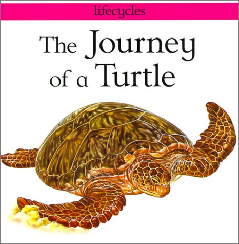 Journey of a Turtle (9780613294584) by Scrace, Carolyn