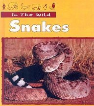 Snakes (In the Wild) (9780613361323) by Robinson, Claire