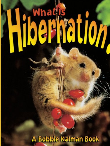 What Is Hibernation? (Turtleback School & Library Binding Edition) (Bobbie Kalman Books) (9780613508483) by Kalman, Bobbie