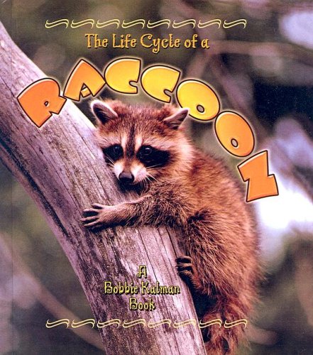 Stock image for The Life Cycle of a Raccoon for sale by Better World Books