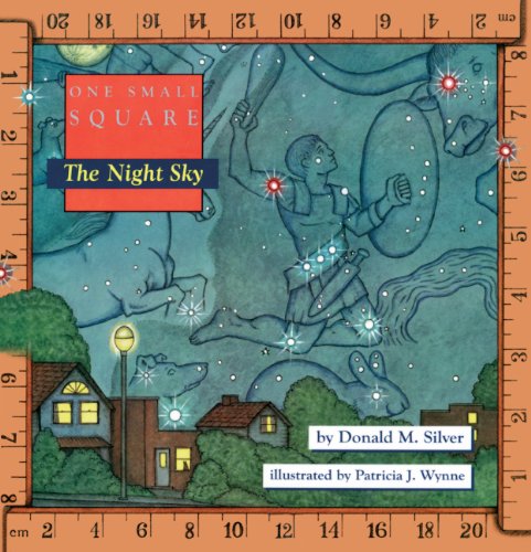 The Night Sky (Turtleback School & Library Binding Edition) (9780613714907) by Silver, Donald M.