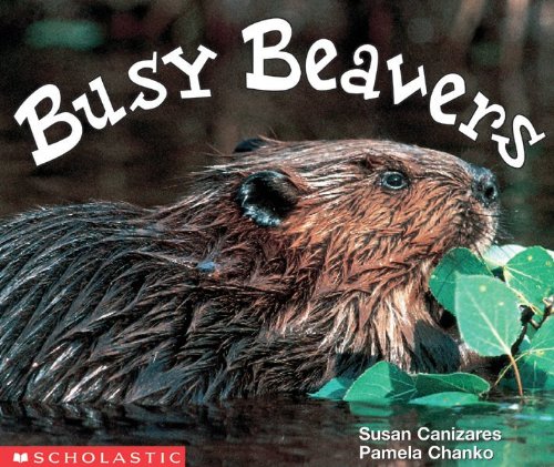 Busy Beavers (9780613877596) by [???]