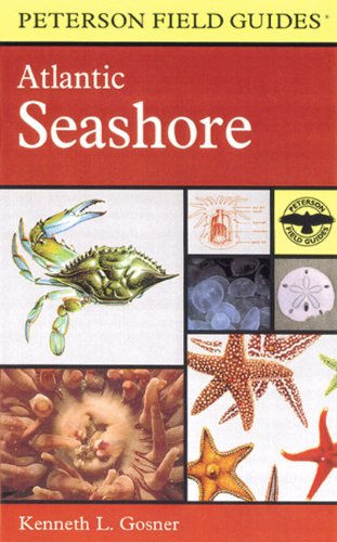 Field Guide to the Atlantic Seashore: From the Bay of Fundy to Cape Hatteras (9780613915984) by Roger Tory Peterson