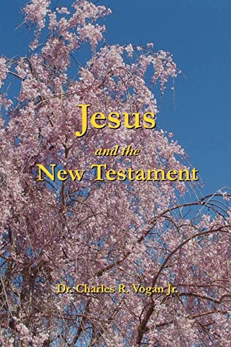 Stock image for Jesus and the New Testament for sale by Lucky's Textbooks