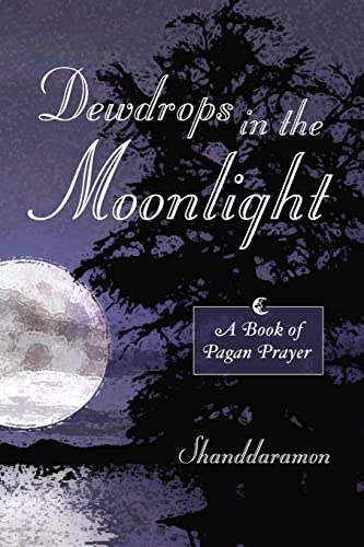 Stock image for Dewdrops in the Moonlight for sale by Books Puddle