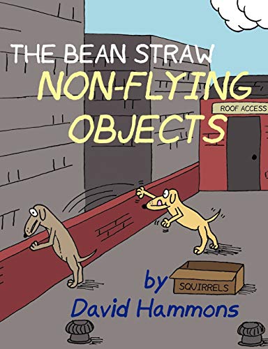 Stock image for The Bean Straw: Non-flying Objects for sale by Lucky's Textbooks