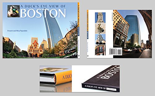 9780615184876: A Duck's Eye View of Boston