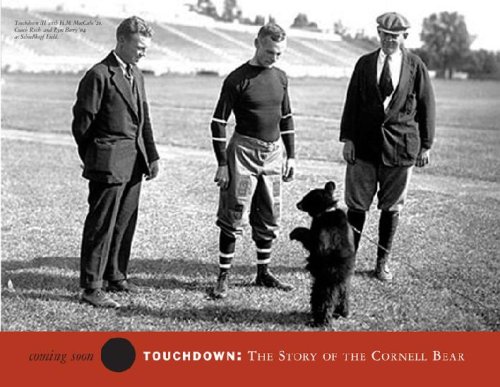 Beispielbild fr Touchdown: The Story of the Cornell Bear zum Verkauf von More Than Words