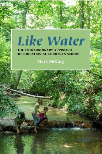 Imagen de archivo de Like Water: The Extraordinary Approach to Education at Fairhaven School a la venta por Wonder Book