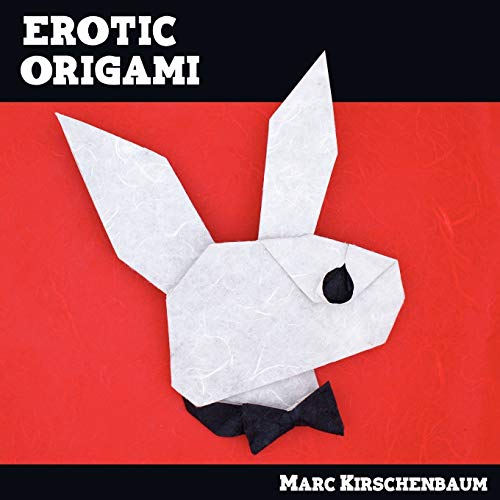 9780615208060: Erotic Origami