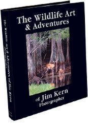 The Wildlife Art & Adventures of Jim Kern Photographer