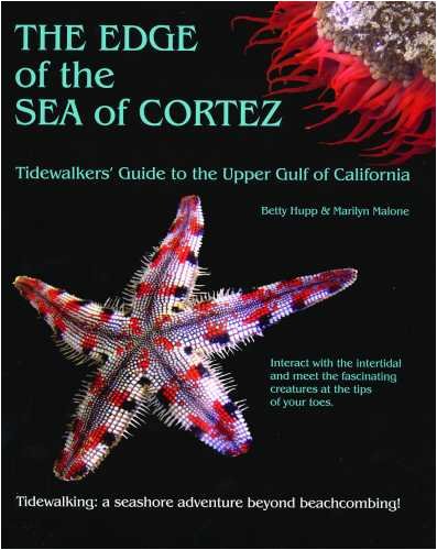 9780615248288: The Edge of the Sea of Cortez: Tidewalker's Guide to the Upper Gulf of California