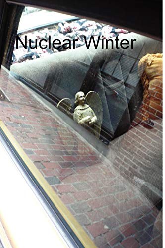 Nuclear Winter (9780615263649) by Peterson, David