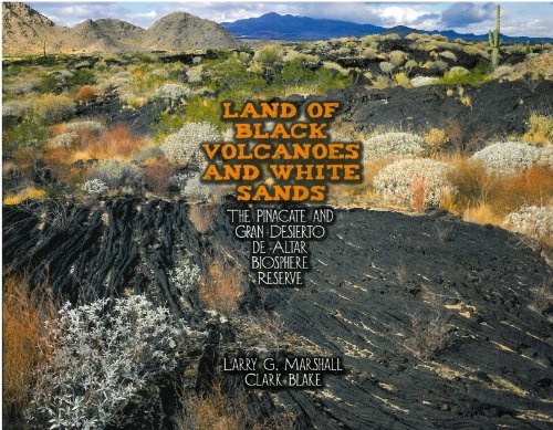 Stock image for Land of Black Volcanoes and White Sands for sale by ThriftBooks-Dallas