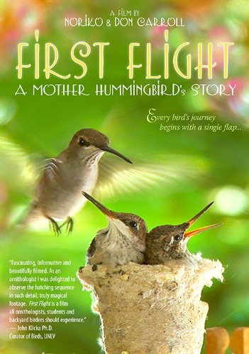 Beispielbild fr First Flight: A Mother Hummingbirds Story zum Verkauf von Goodwill Books