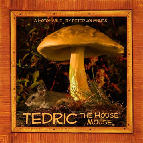 Beispielbild fr Tedric the House Mouse (Fotofable) zum Verkauf von Wonder Book