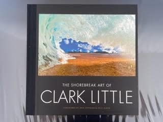 Stock image for The Shorebreak Art of Clark Little for sale by SecondSale