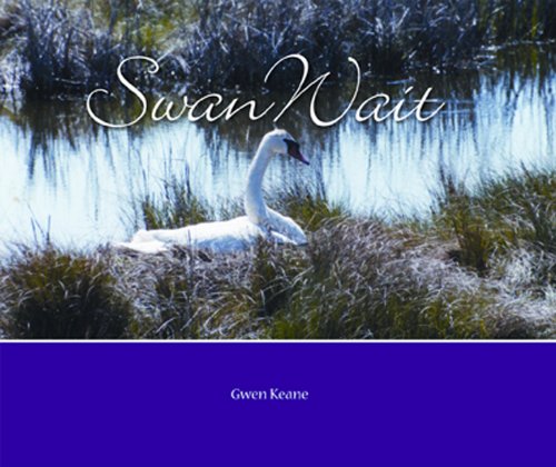 Imagen de archivo de Swan Wait a la venta por dsmbooks