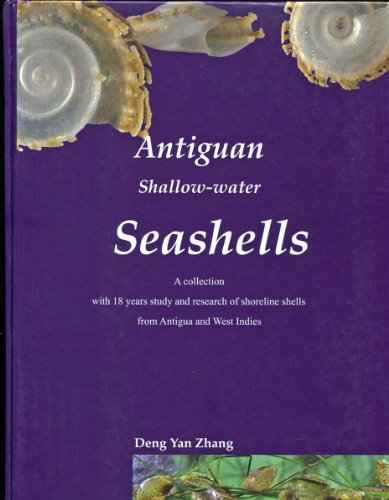 Stock image for Antiguan Shallow-water Seashells for sale by HPB-Red