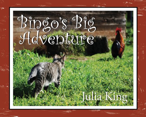 Imagen de archivo de Bingo's Big Adventure : A Cat's Tale a la venta por Better World Books