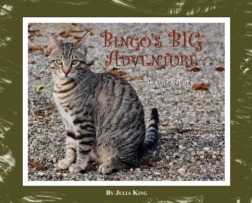 Bingo's Big Adventure (Mom's Choice Awards Winner 2011) (9780615370323) by Julia King