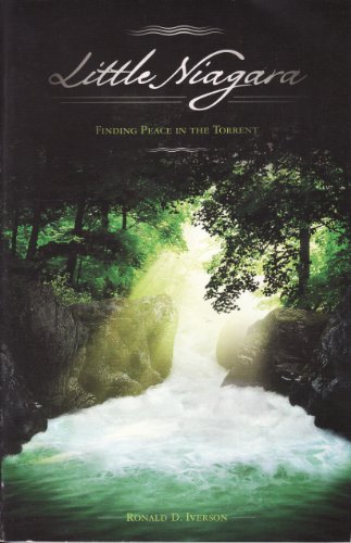 Beispielbild fr Little Niagara: Finding Peace in the Torrent zum Verkauf von Half Price Books Inc.