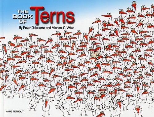 Imagen de archivo de The Book of Terns a la venta por BooksRun