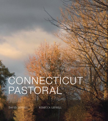 Imagen de archivo de Connecticut Pastoral a la venta por Bookmonger.Ltd