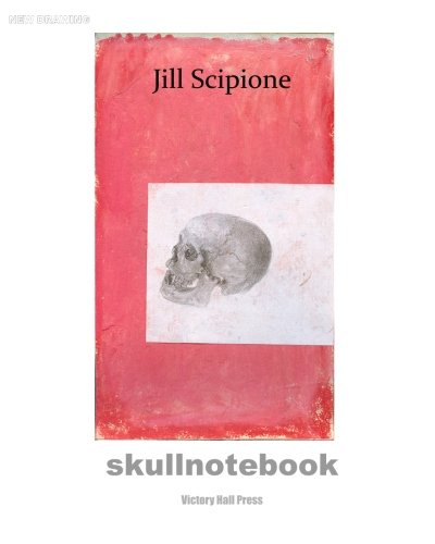 9780615430294: Jill Scipione: Skullnotebook: New Drawing Series