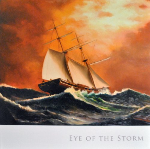 9780615442617: Eye of the Storm