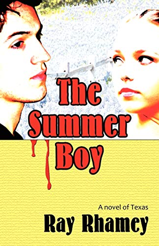 Imagen de archivo de The Summer Boy a la venta por Better World Books: West