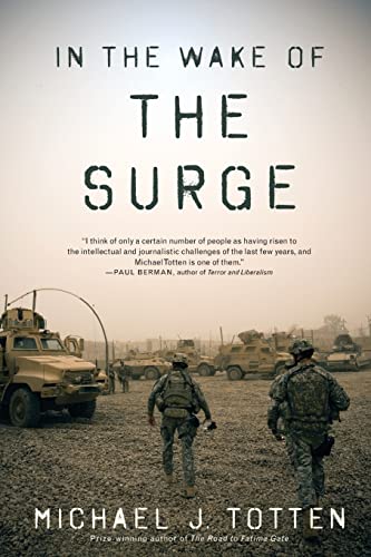 9780615508405: In the Wake of the Surge