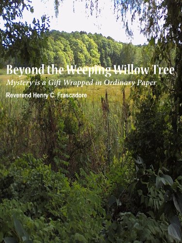 Beispielbild fr Beyond the Weeping Willow Tree zum Verkauf von Better World Books