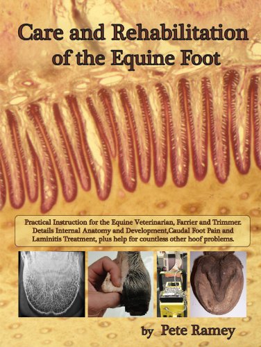 Care and Rehabilitation of the Equine Foot (9780615524535) by Pete Ramey