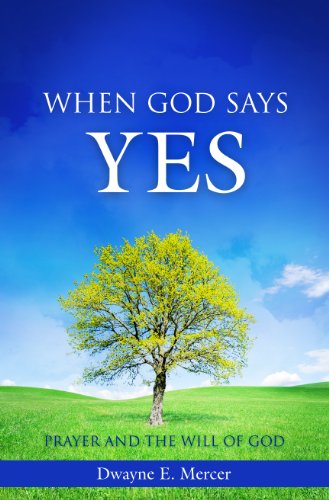 9780615550442: When God Says Yes